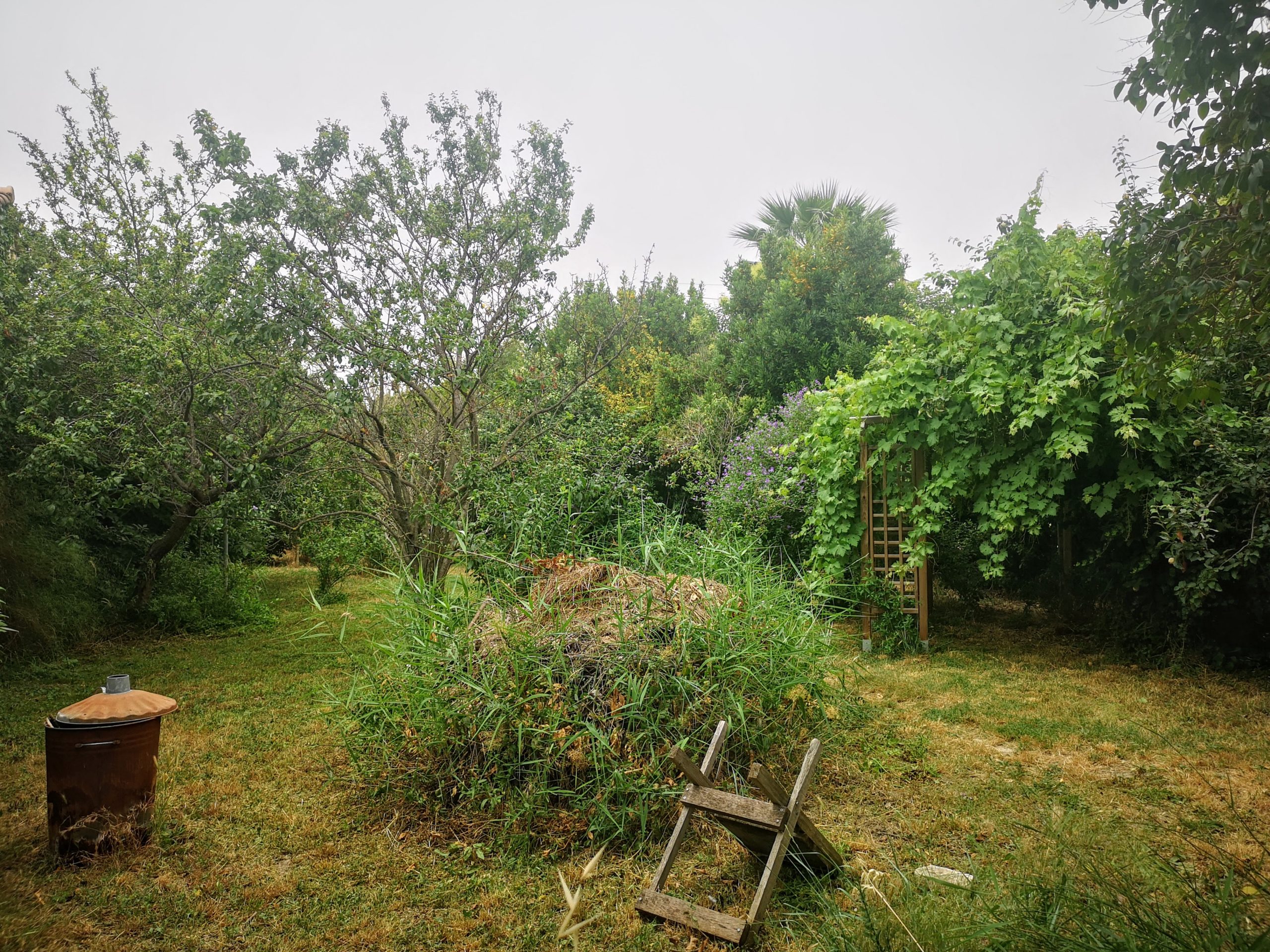 Mon jardin brut 